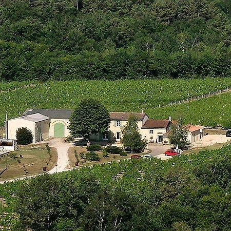 فندق بوردوفي  Domaine De Grand Homme المظهر الخارجي الصورة